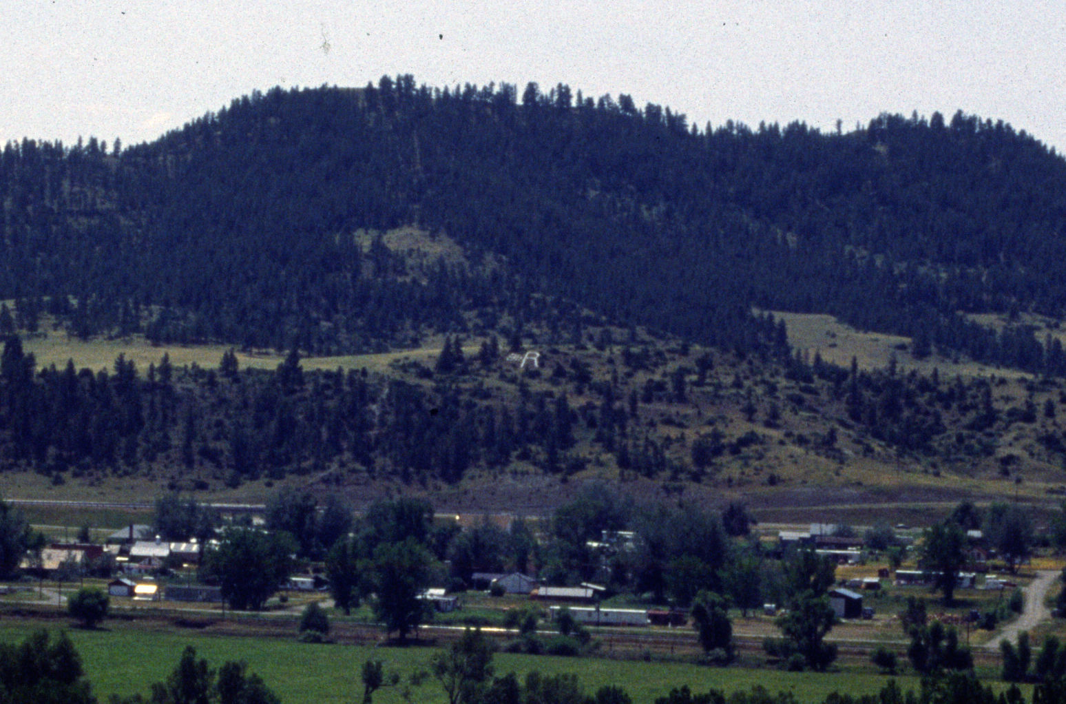 Reed Point